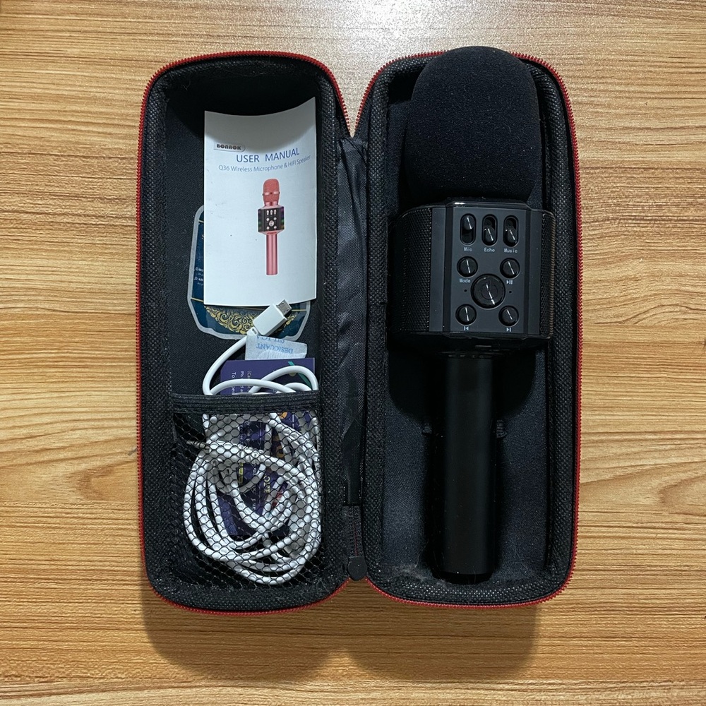 Karaoke Mic